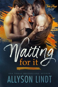 Waiting For It (eBook, ePUB) - Lindt, Allyson