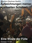 Eine Wüste der Fülle. Essays 17-24 (Aufzeichnungen meiner spirituellen Schulzeit, #3) (eBook, ePUB)