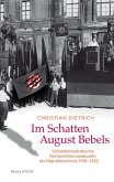 Im Schatten August Bebels (eBook, PDF)