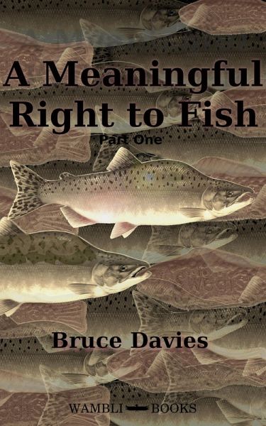 A Meaningful Right to Fish Part One (eBook, ePUB) A Meaningful Right to Fish Part One (eBook, ePUB)