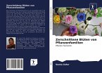 Zerschnittene Blüten von Pflanzenfamilien