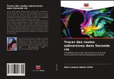 Tracer des routes subversives dans Seconde vie