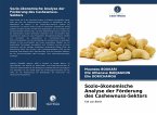 Sozio-ökonomische Analyse der Förderung des Cashewnuss-Sektors