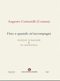 Fino a quando m'accompagni (eBook, ePUB)