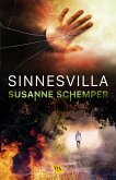 Sinnesvilla (eBook, ePUB)