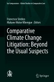Comparative Climate Change Litigation: Beyond the Usual Suspects (eBook, PDF)