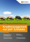 Kreditmanagement mit SAP S/4HANA (eBook, ePUB)