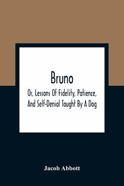Bruno; Or, Lessons Of Fidelity, Patience, And Self-Denial Taught By A Dog - Abbott, Jacob