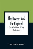 The Beavers And The Elephant