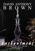 Enchantment (eBook, ePUB)