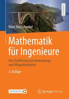 Mathematik für Ingenieure (eBook, PDF) - Dürrschnabel, Klaus