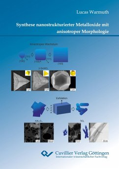 Synthese nanostrukturierter Metalloxide mit anisotroper Morphologie - Warmuth, Lucas