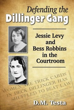 Defending the Dillinger Gang - Testa, D. M.