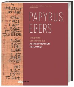 Papyrus Ebers - Schneider, Ulrich Johannes;Popko, Lutz;Scholl, Reinhold