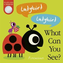 Cover Ladybird! Ladybird! What Can You See?