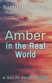 Amber in the Real World