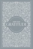 More Than Gratitude