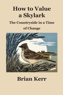 How to Value a Skylark - Kerr, Brian