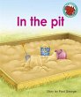 In the pit - Bild 1