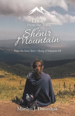 A Look from the Top of Shénir Mountain - Dworshak, Marilyn J.