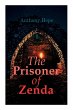 The Prisoner of Zenda: Dystopian Novel - Bild 1