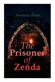 The Prisoner of Zenda: Dystopian Novel