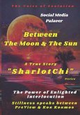&quote;BETWEEN THE MOON & THE SUN &quote; - The Power of Enlighted Interlocution: Stillness Speaks Between&quote;PreView & KozKozmos &quote; &quote;Social Media Palaver&quote;