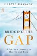 Bridging the Gap - Bild 1