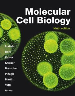 Cover Molecular Cell Biology (International Edition)