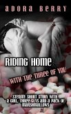 Riding Home, with the Three of You (eBook, ePUB)