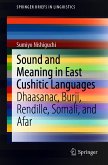 Sound and Meaning in East Cushitic Languages (eBook, PDF)