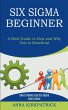 Six Sigma Beginner - Bild 1