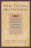 Practicing Protestants (eBook, ePUB)