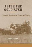 After the Gold Rush (eBook, ePUB)