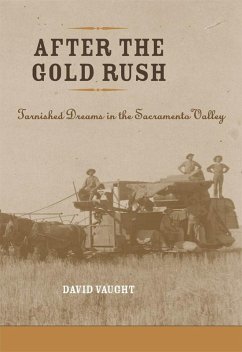 After the Gold Rush (eBook, ePUB) - Vaught, David