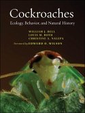 Cockroaches (eBook, ePUB)