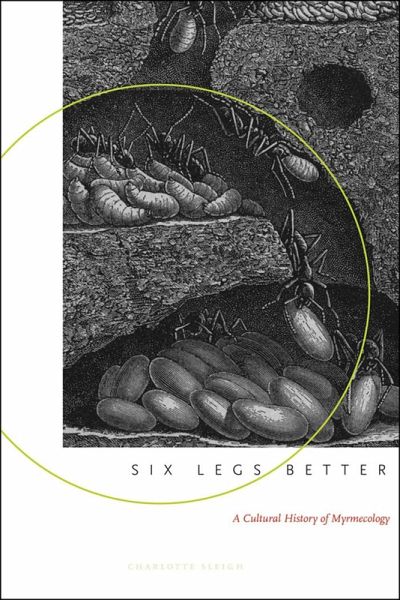 Six Legs Better (eBook, ePUB)