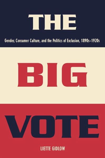Big Vote (eBook, ePUB)