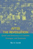 After the Revolution (eBook, ePUB)