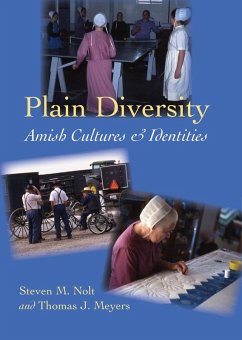 Plain Diversity (eBook, ePUB) - Nolt, Steven M.