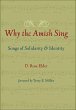 Why the Amish Sing (eBook, ePUB) - Bild 1