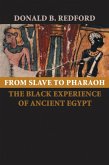 From Slave to Pharaoh (eBook, ePUB)