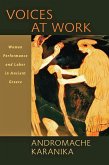 Voices at Work (eBook, ePUB)