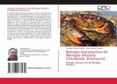 Biología reproductiva de Menippe frontalis (Decápoda, Brachyura)