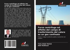 Forza centrifuga ed effetto del campo di trasferimento del calore su un gas confinato - Abdel Wahid, Taha;Hadhoud, Adel