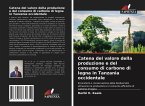 Catena del valore della produzione e del consumo di carbone di legna in Tanzania occidentale