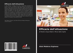 Efficacia dell'attuazione - Mederos Espinosa, Alain