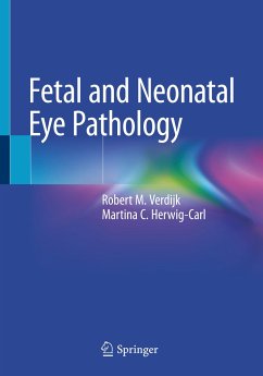 Fetal and Neonatal Eye Pathology - Verdijk, Robert M.;Herwig-Carl, Martina C.