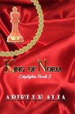 King of Noria (Citylights, #2) (eBook, ePUB)