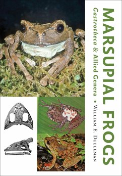 Marsupial Frogs (eBook, ePUB) - Duellman, William E.
